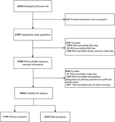 Dietary selenium intake and sarcopenia in American adults